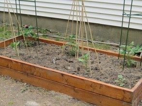 Tiny Garden Planter Box with Tomatoes and Peppers