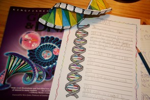 DNA Notebooking Page