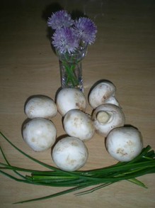 Ingredients for Mushroom Sauces