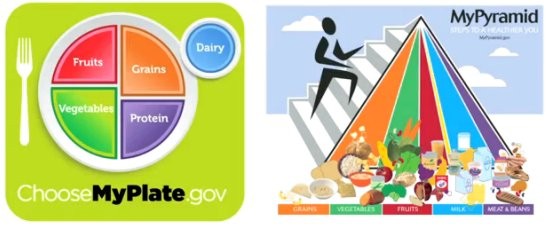 MyPlate and MyPyramid Compared