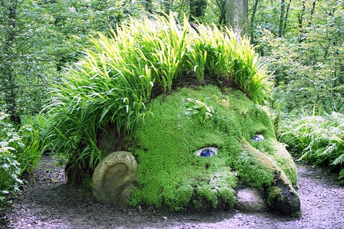 The Giant's Head from the Lost Gardens of Heligan