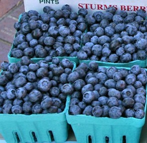 Lots of pints of blueberries at a farmer's market