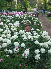 Peek-a-Boo in the Peonies (there's my husband)