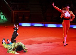 Tierdresser_hund_als_Stier