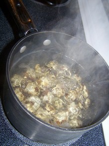 Boiling the quail eggs