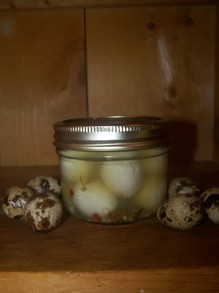Jar of homemade pickled quail eggs