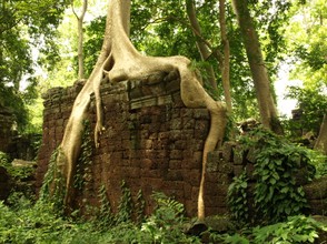 Jungle ruins at Banteay Chhmar