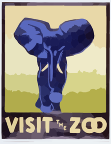 Visit the Zoo