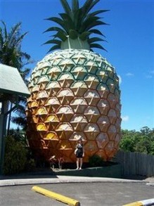 The Big Pineapple in Nambour, Queensland
