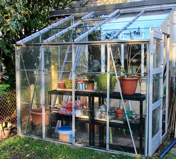 My little greenhouse