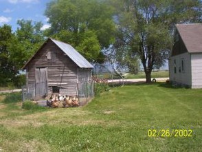 Homesteading and homeschooling Chickens House