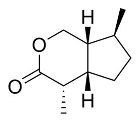 Chemical structure of one known iridoid (iridomyrmecin)