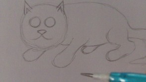 Drawing The Cats Face