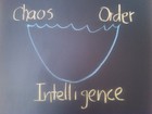 Chaos-Intelligence-Order