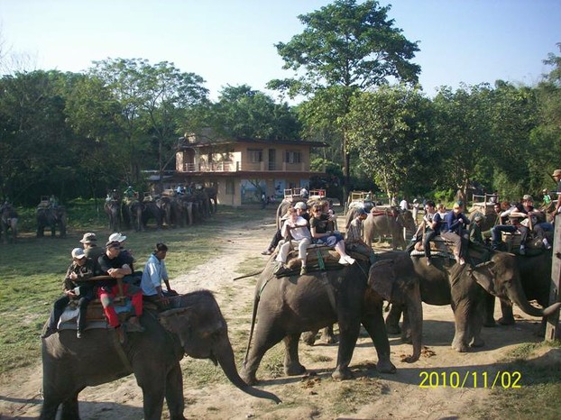 Getting ready for Elephant ride in Chitwan