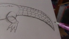 Draw in scales on the crocodile tail