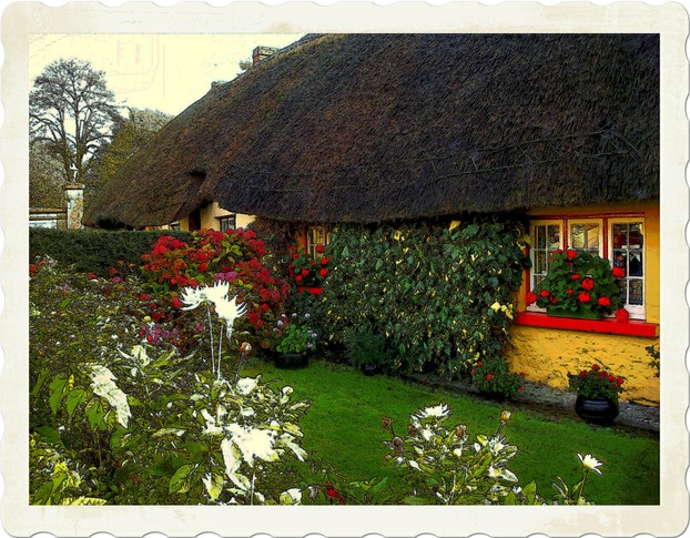 Late October Cottage Garden  located in Adare,Co. Limerick,Irl.