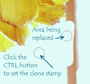 Clone stamp tool tutorial picture.