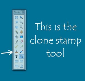 Find the clone stamp tool in your tool box.