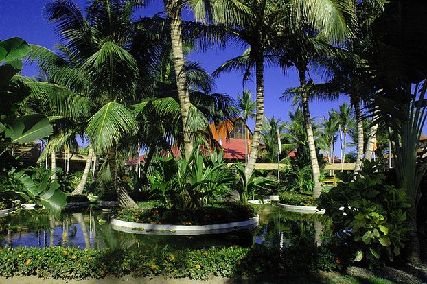 A Tropical Garden at the Grand Palladium Palace in Punta Cana, Dominican Republic