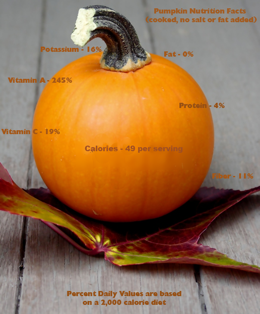 Pumpkin Nutrition Values