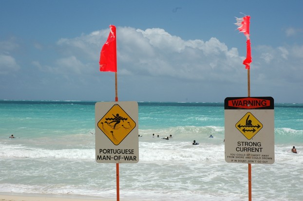 Warning signs posted at Waimanalo Beach