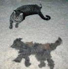 Meow, here is second me, all made out of fur - my fur, meow! 