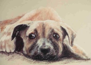 Catcher greyhound pup - pastel