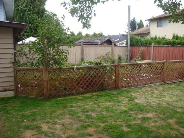back garden
