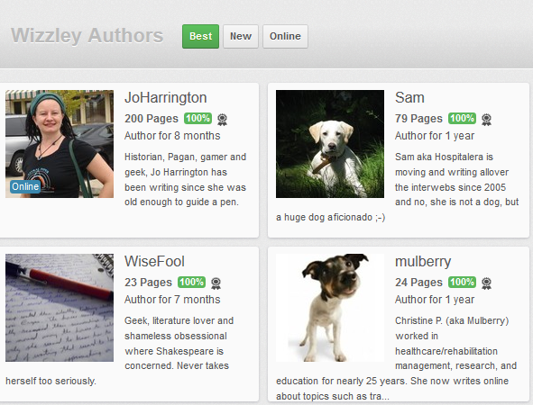 Image: Excellent Authors on Wizzley August 17th 2012
