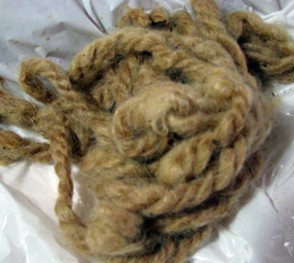 Tallow Tree Dyed