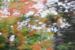 Autumn Drive 3
