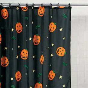 Another shower curtain