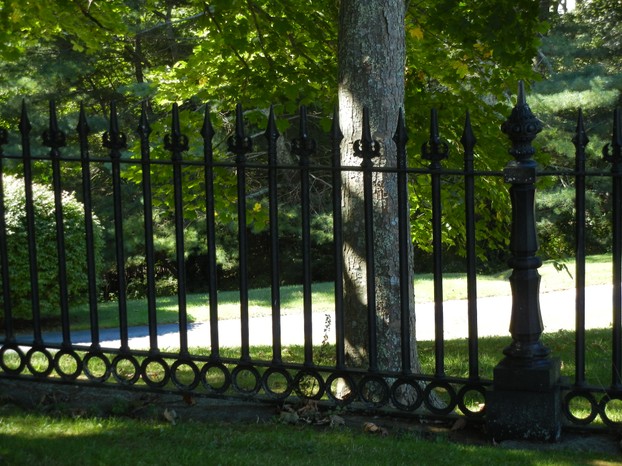 Our Wrought Iron Fencing