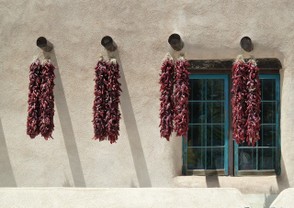 Chilies drying in the sun.