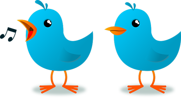 Pair of twittering birds