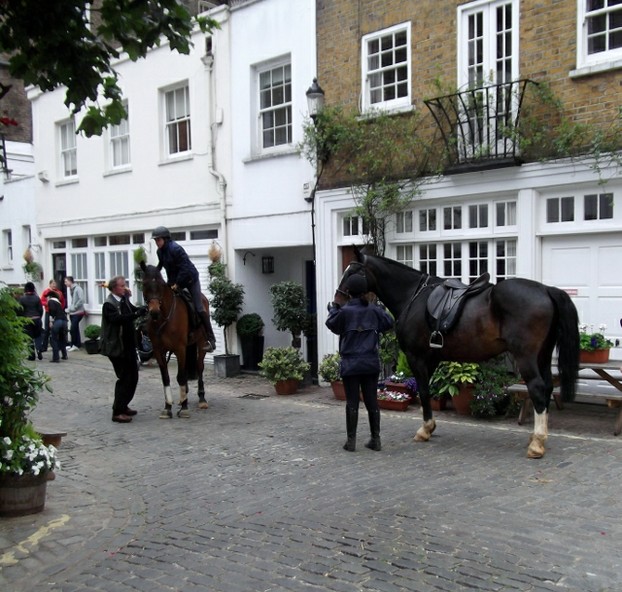 In a quiet mews we find horses in the middle of London!