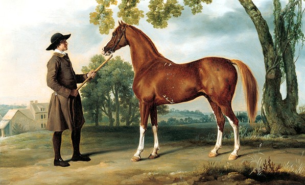 Lord Grosvenor's Arabian Stallion, born 1767, painted by George Stubbs.