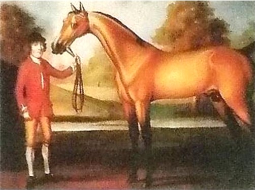 Darcy's Yellow Turk, foaled ca. 1670, possibly imported in utero