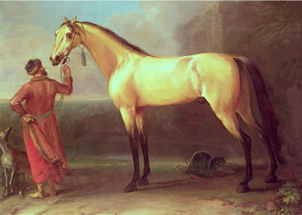 The Oxford Dun Arabian (probably Turk or Barb) foaled ca. 1710