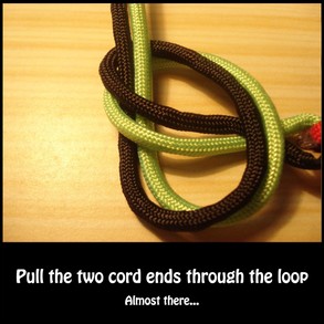 Pull the cord ends through the loop