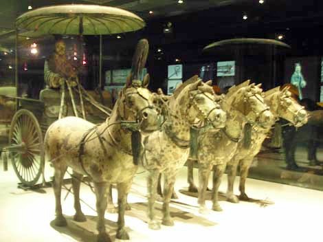 Chinese Qin Dynasty leopard chariot horses