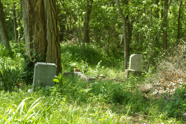 grave stones among trees