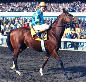 Northern Dancer at two, Ron Turcotte up
