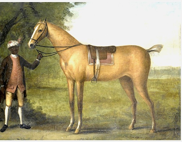 Palomino Racehorse painted by John Wootton