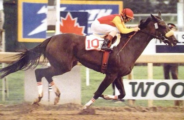 Sam-Son Farm's Dance Smartly, Canadian Triple Crown winner and dam of two Queen's Plate winners.