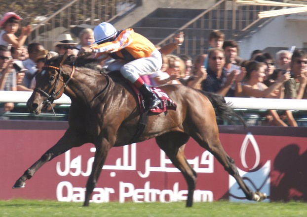 The filly Danedream wins the 2011 Prix de l'Arc de Triomphe, France's premier race.