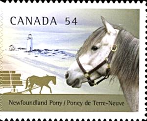 The Newfoundland Pony as pictured on a Canada Post stamp in 2009.