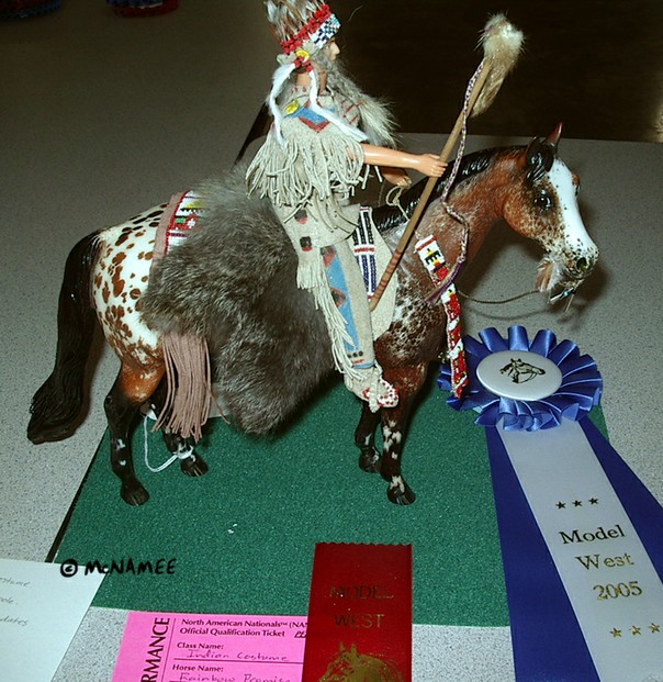 Winning Indian Costume entry. Horse customized by Terry McNamee, costume by Lea Sallis.