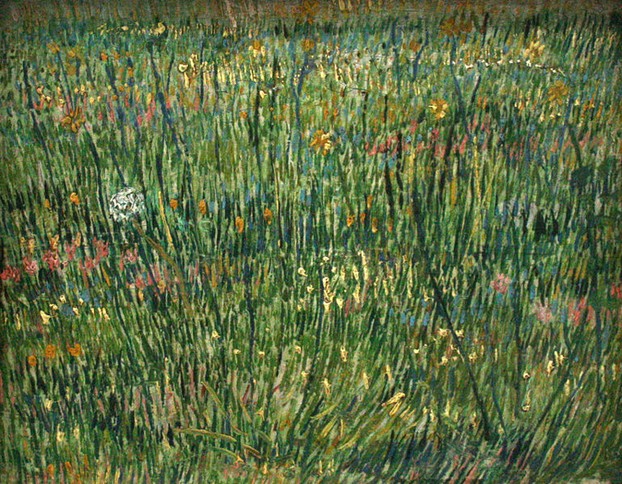 Patch of Grass - van Gogh